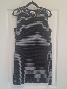 Evereve Shift Dress